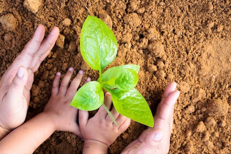 life insurance creates a legacy