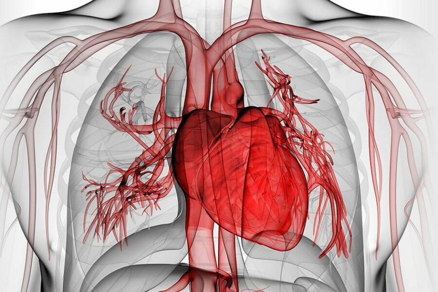 little known circulation facts