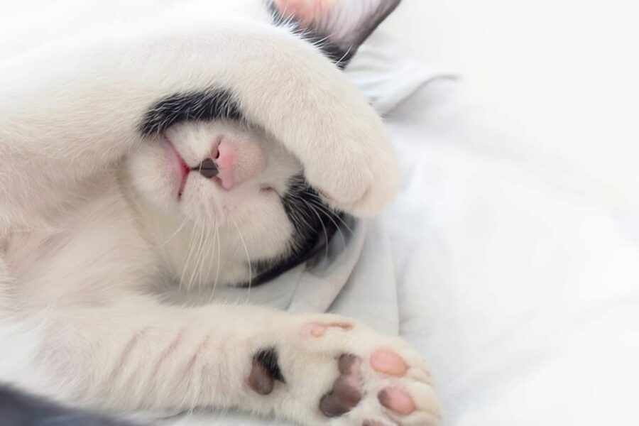 How can I create a better sleep routine